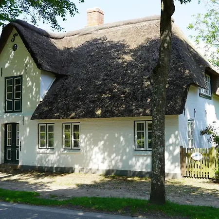 Kapteins Hueues Eg Apartment Nieblum